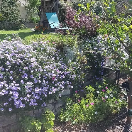 Dans Avec Jardin Privatif 아파트 바스티아