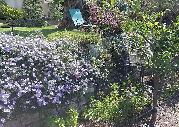 Dans Avec Jardin Privatif Apartman Bastia